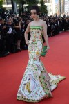 Chinese model Fan Bing Bing poses on&nbsp;the